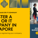 Register a SaaS or IT Company in Singapore